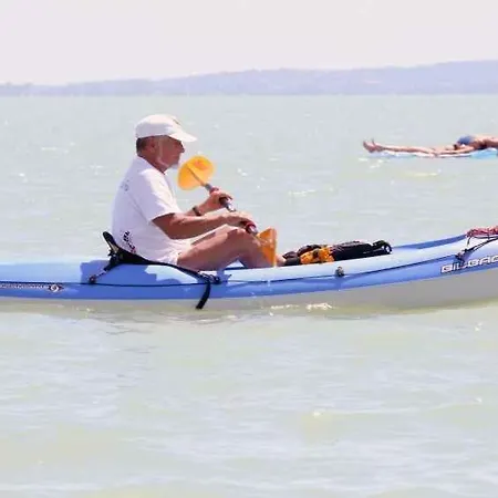 In 37240 Balatonakali