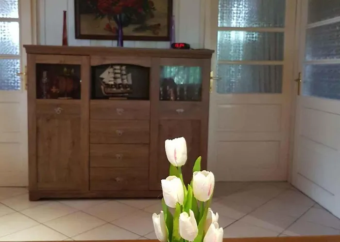 In 37240 Vakantiehuis Balatonakali